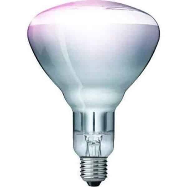 Lampe infrarouge Kerbl Philips