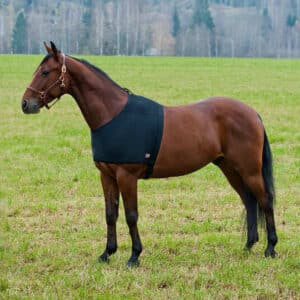 Protection épaules pour cheval sous-couverture Horze ComForce