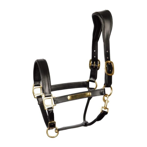 Licol pour cheval en cuir anatomic Harry's Horse