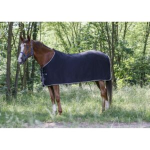 Chemise pour cheval Riding World Polaire