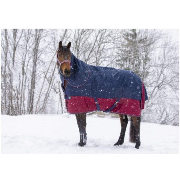 Couverture pour cheval Equithème TYREX 1200 D 450g