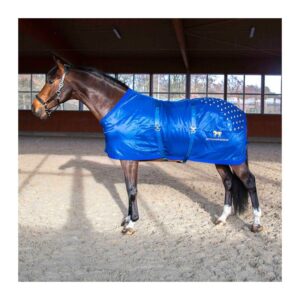 Tapis d'acupression pour le dos Accuhorsemat Original