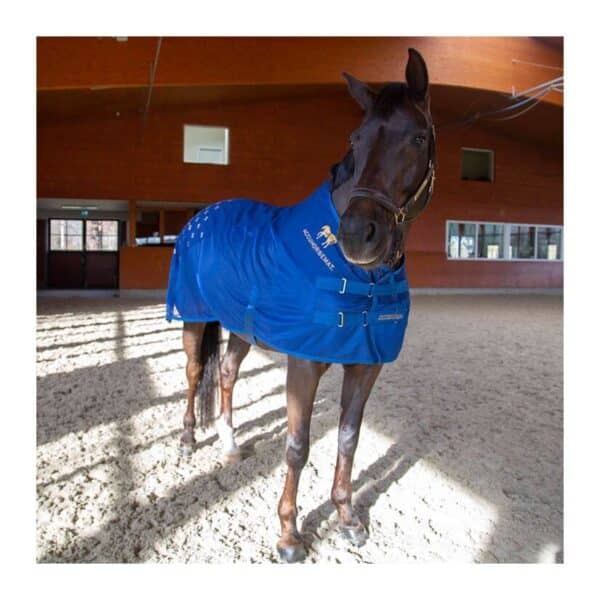 Tapis d'acupression pour le dos Accuhorsemat