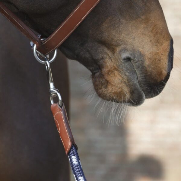 Longe cuir avec chain équitation Antarès