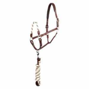 Ensemble licol et longe pour cheval en cuir BR Equitation Dundee