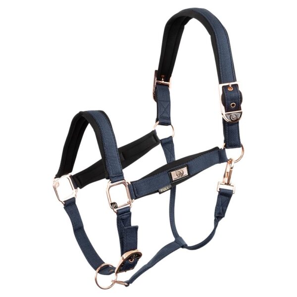 Licol pour cheval BR Equitation Rose Gold