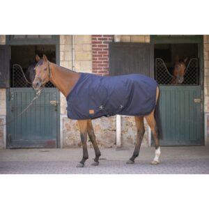 Chemise pour cheval coton en maille Paddock Sports