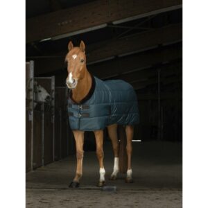 Couverture pour cheval Equithème Teddy 0g