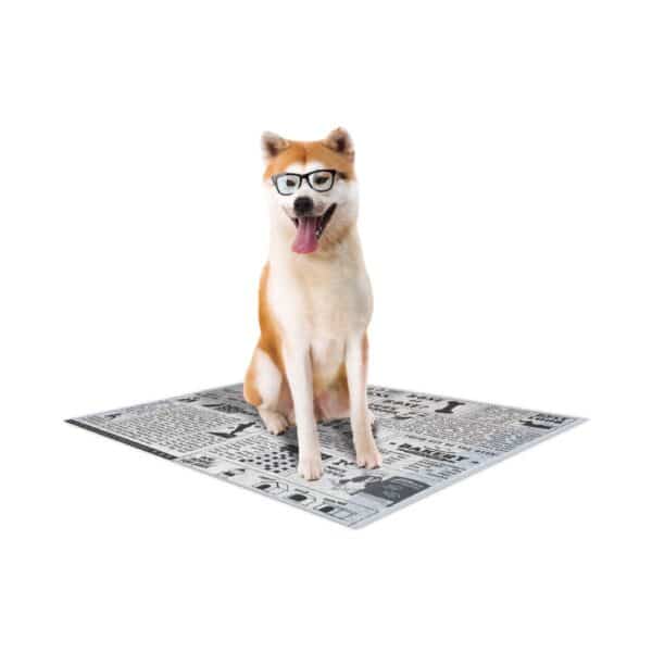 Tapis pour chien Croci Canifrance Super Nappy Newspaper (x60)