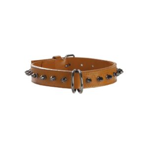 Collier pour chien en cuir Bobby Hercule