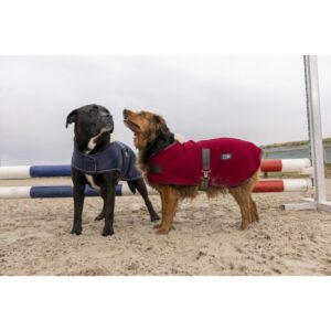 Couverture pour chien en nylon Diego & Louna Teddy