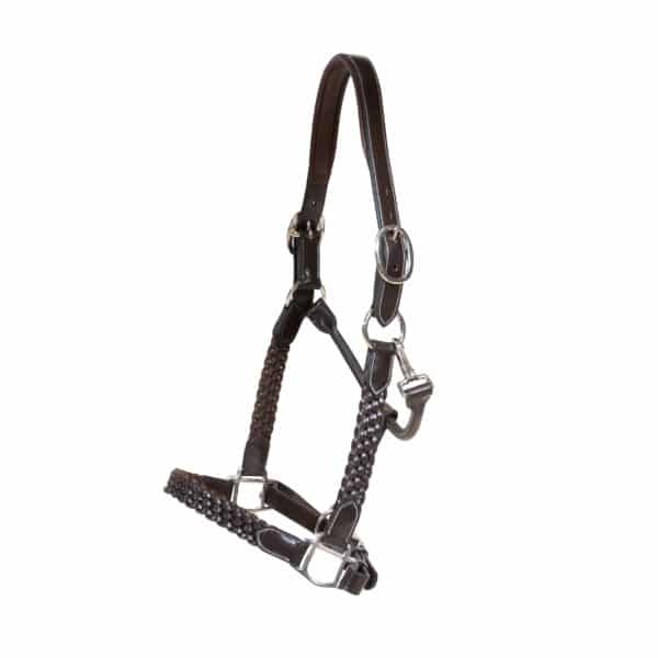 Licol tressé cuir pour cheval Dyon