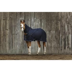 Chemise séchante pour cheval Equithème Combo