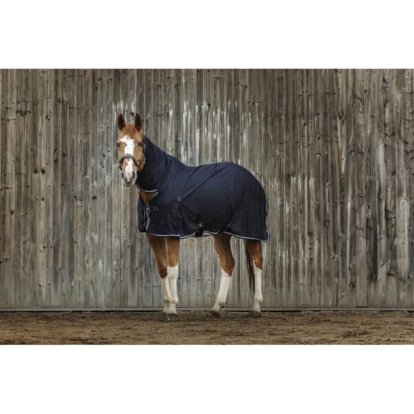 Chemise séchante pour cheval Equithème Combo