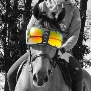 Verres de rechange lunettes cheval eQuick eVysor