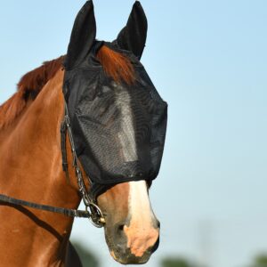 Bonnet de travail anti-mouches pour cheval Equilibrium