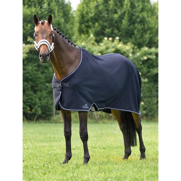 Couverture de marcheur pour cheval Equiline Climate Control