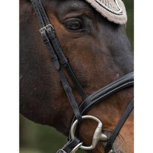 Montants plats pour cheval Equiline (x2)