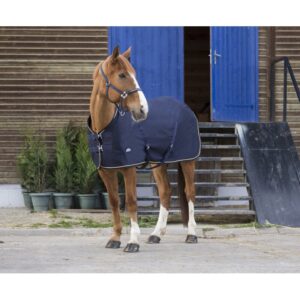 Chemise pour cheval Equithème Chic 0g