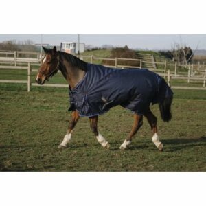 Couverture d'extérieur pour cheval Equithème Classic 600D 50 g