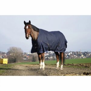 Couverture d'extérieur pour cheval Equithème Classic 1200D 0 g