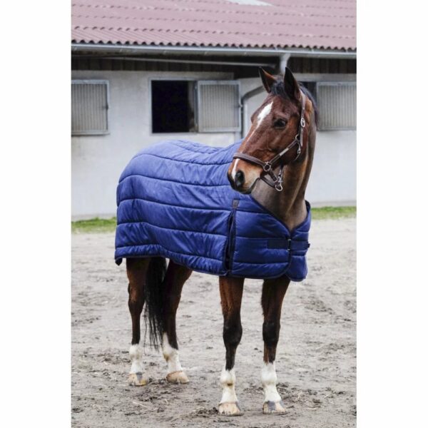 Sous-couverture pour cheval Equithème Classic 50 g