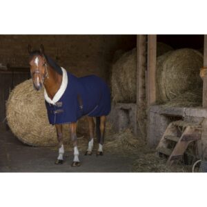 Chemise pour cheval Equithème Teddy 0g