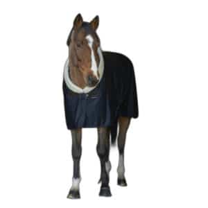 Chemise pour cheval séchante Equithème Teddy 0g