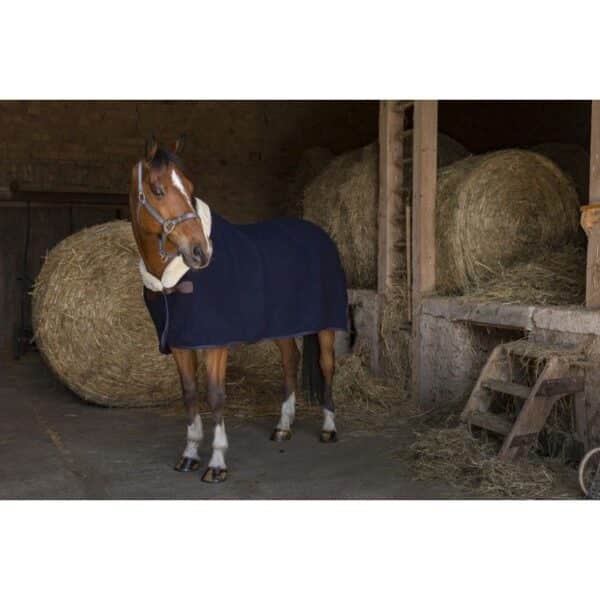 Polaire pour cheval en laine Equithème Teddy