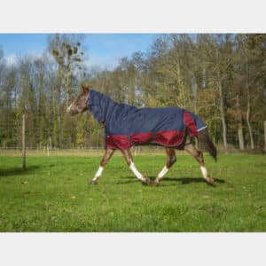 Couverture d'extérieur pour cheval Equithème Tyrex 1200 D Combo 200g