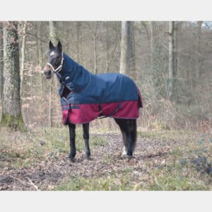 Couvre-cou pour cheval Equithème Tyrex 1200 D