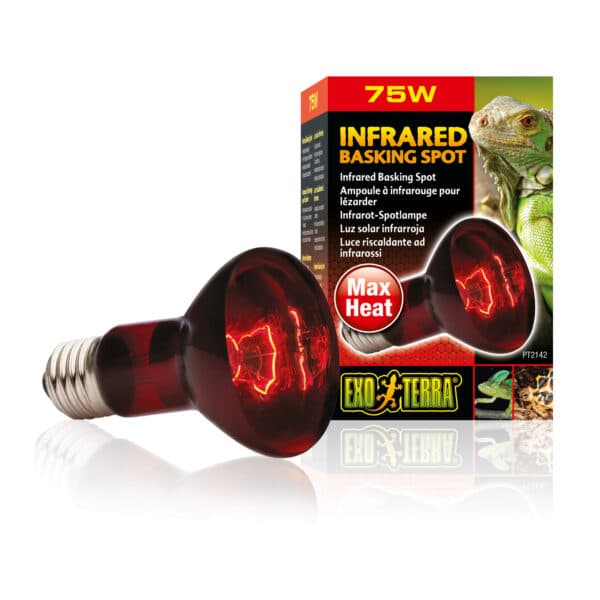 Lampe pour terrarium Exo Terra Infrared Basking Spot 75W