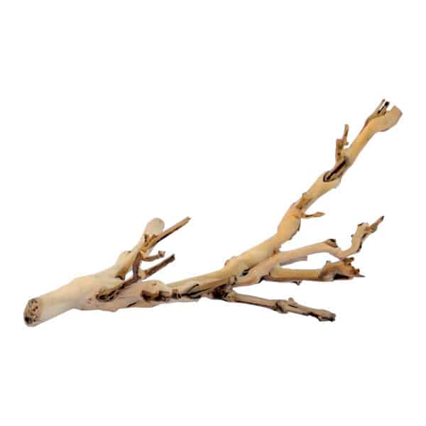 Kit de décoration pied de vigne sablé Exo Terra