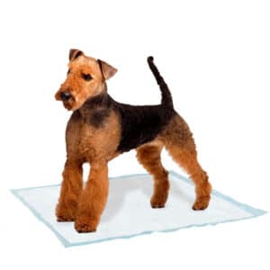 Tapis pour chien Ferplast Genico (x10)