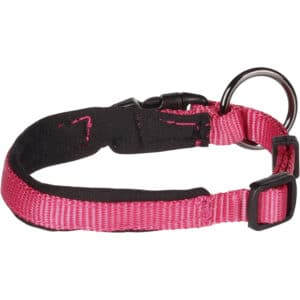 Collier pour chien Flamingo Abbi