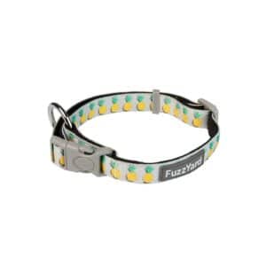 Collier pour chien FuzzYard Piña Colada