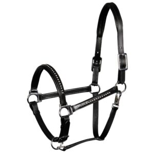 Licol pour cheval en cuir avec cristal Harry's Horse Finesse