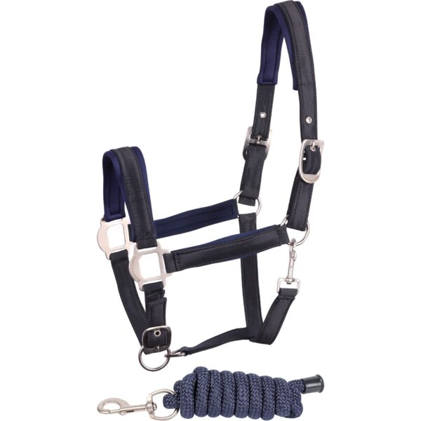 Ensemble Licol et longe pour cheval satin Harry's Horse