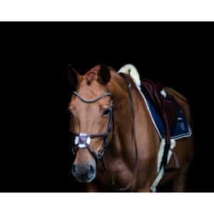 Frontal pour cheval HFI V Shape + Strass