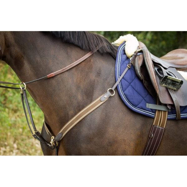 Collier de chasse pour cheval élastique HFI