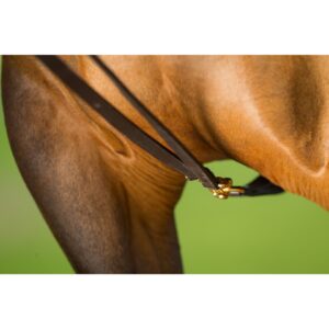 Rênes allemandes en cuir pour cheval HFI