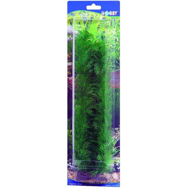 Accessoire pour aquarium Hobby Egeria