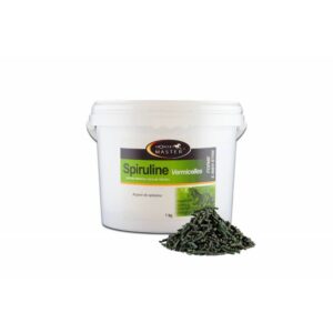 Spiruline pour cheval vermicelle Horse Master 1 kg