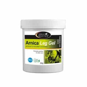 Gel rafraichissant cheval Horse Master Arnica Leg 500 g