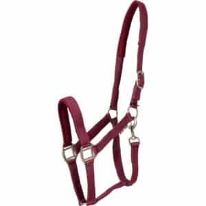 Licol pour cheval HorseGuard Nylon