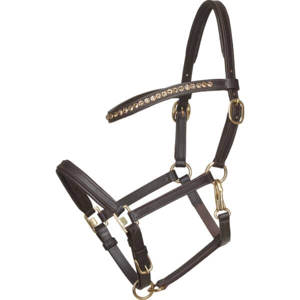 Licol pour cheval en cuir poulin HorseGuard