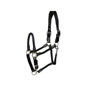 Licol pour cheval en cuir HorseGuard Jean