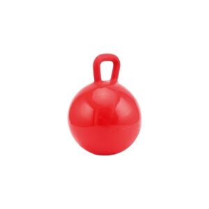 Ballon de jeu pour cheval HorseGuard