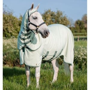 Couverture d'extérieur pour cheval Horseware Rambo XL 0g