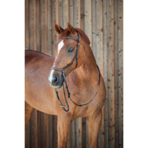 Bridons à muserolle combinée pour cheval sans mors Horze Orlando